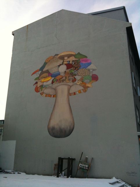 Street Art Iceland Mushroom